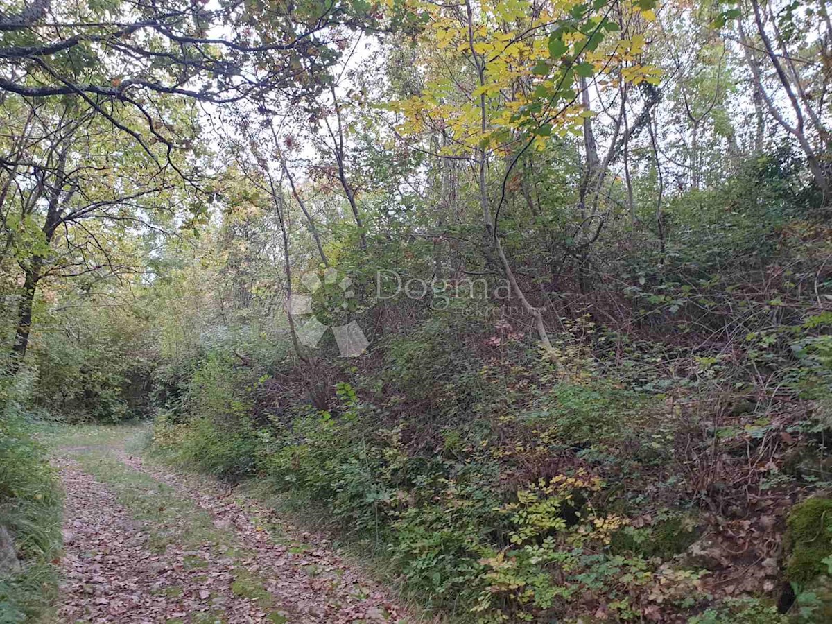 Land For sale - PRIMORSKO-GORANSKA  KASTAV 