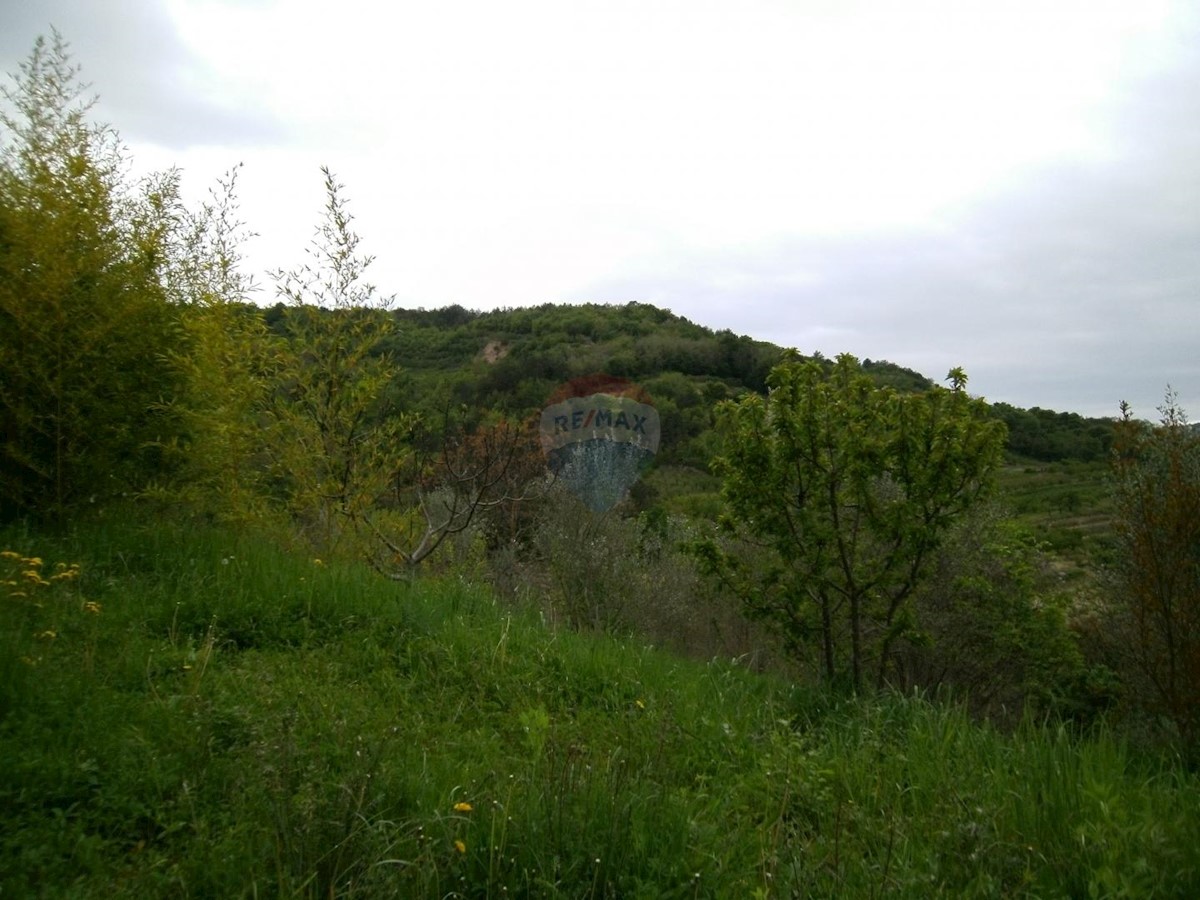 Haus Zu verkaufen - ISTARSKA  MOTOVUN 