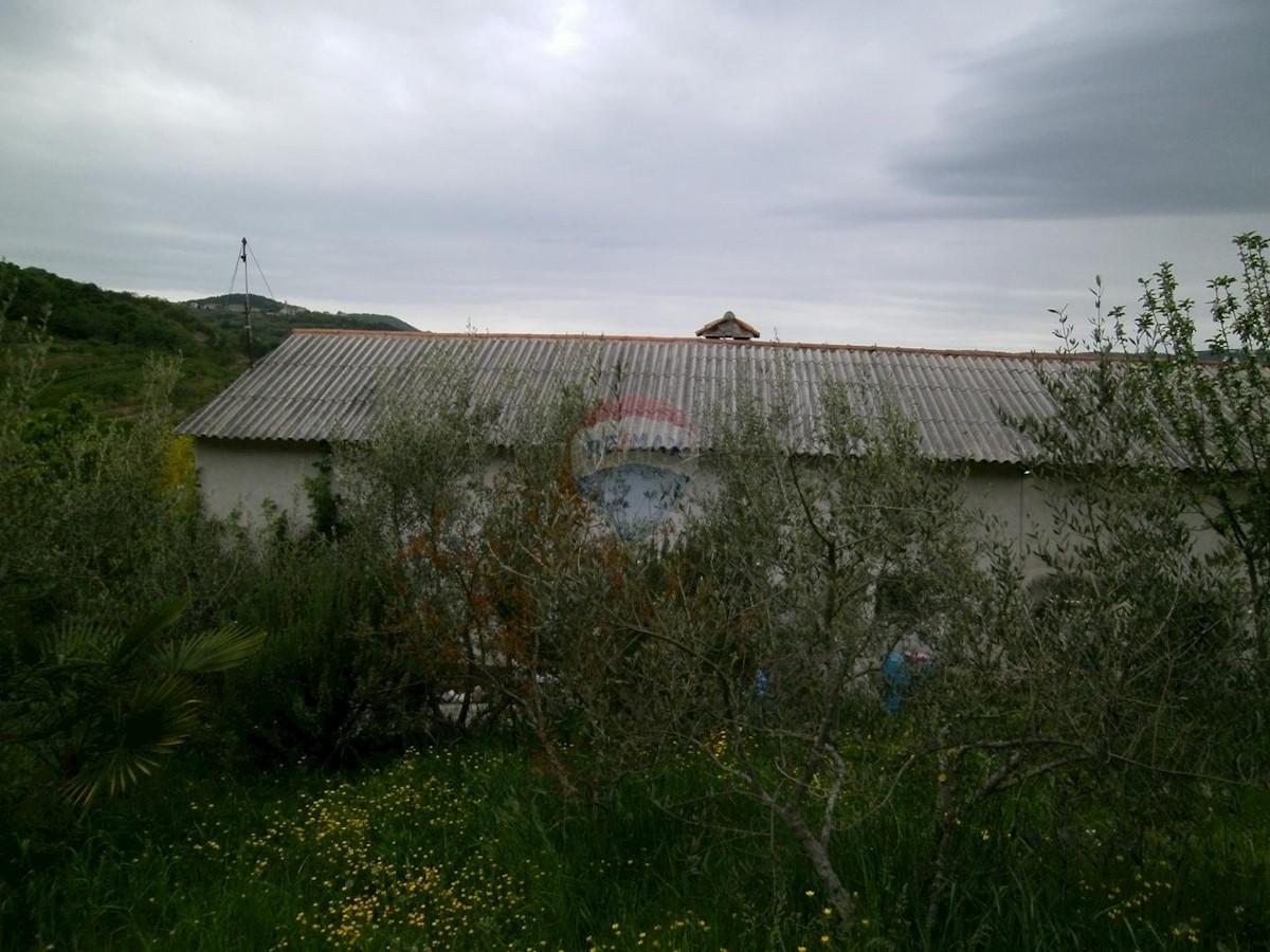 House For sale - ISTARSKA  MOTOVUN 