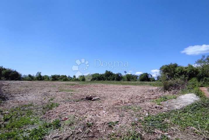 Land for sale 51658 m² – Labin