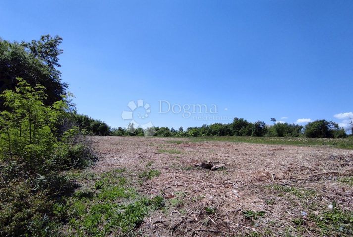 Grundstück zu verkaufen 13218 m² – Labin