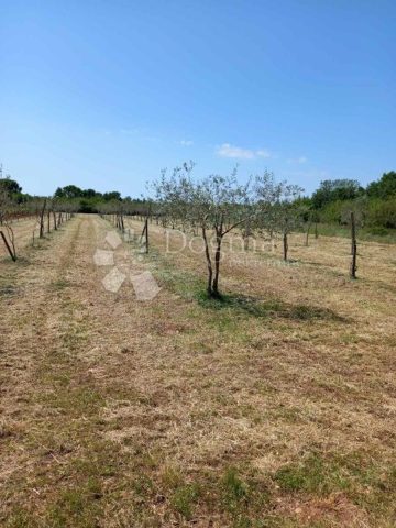 Pozemok na predaj 2449 m² – Juršići
