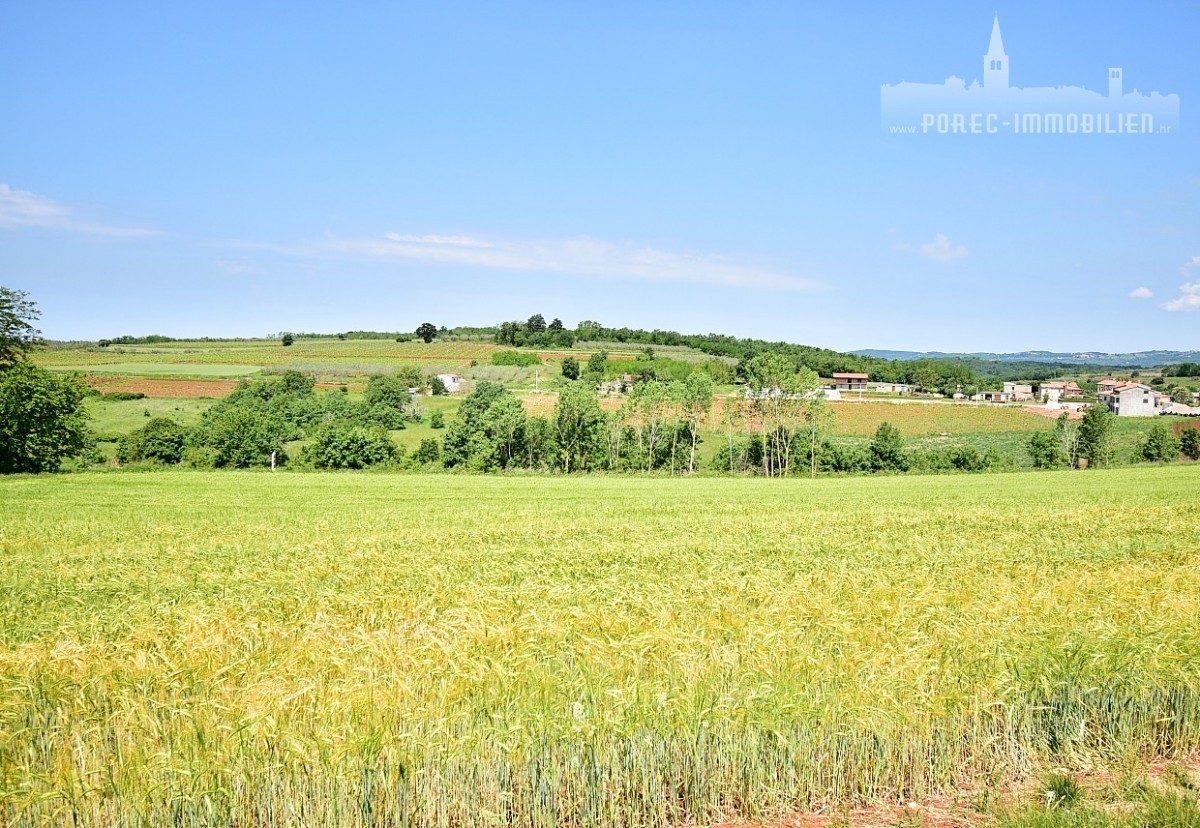 Działka Na sprzedaż - ISTARSKA  VIŽINADA 