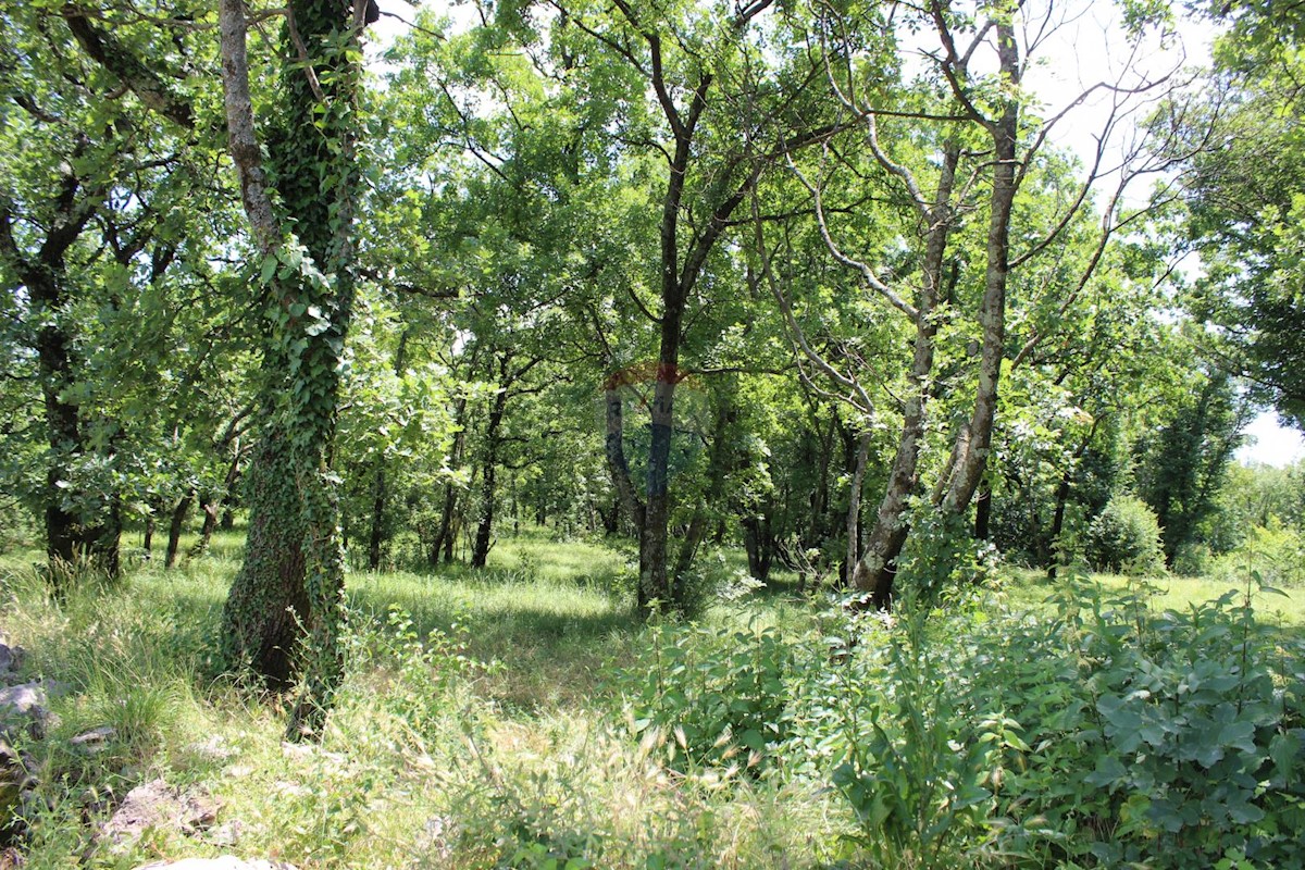 Terreno In vendita - PRIMORSKO-GORANSKA  ČAVLE 