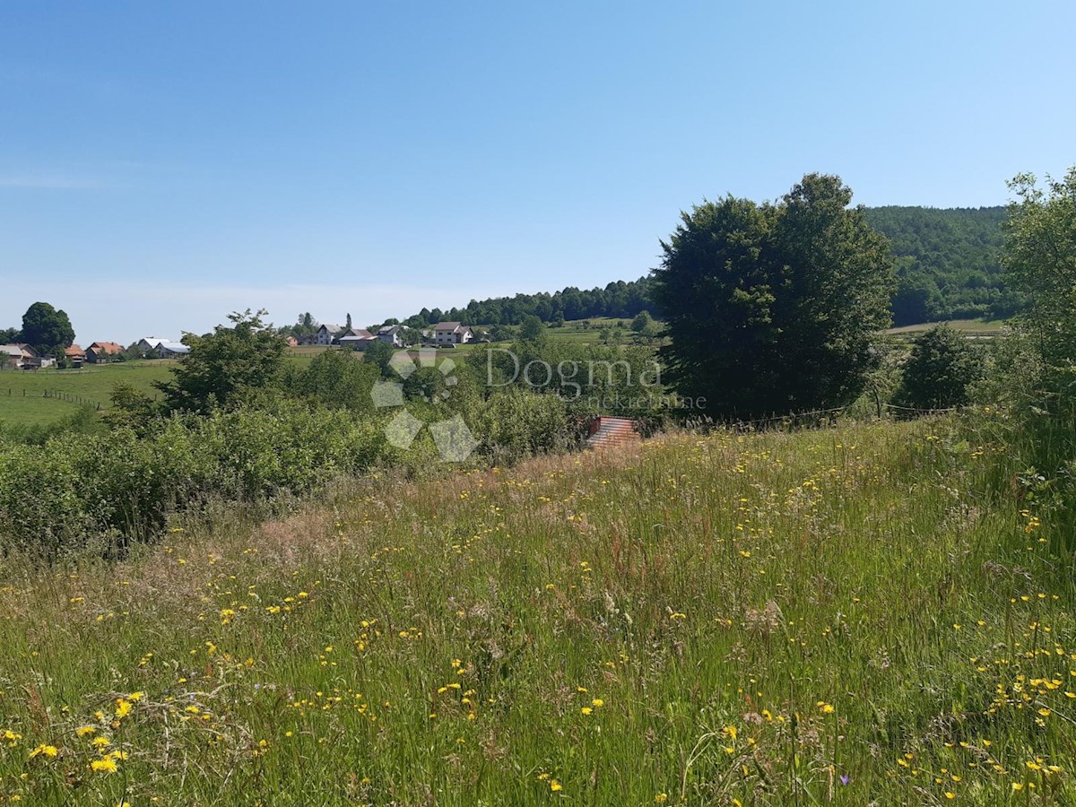 Zemljište Na prodaju - KARLOVAČKA  OGULIN 