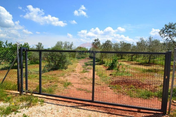Pozemek na prodej 14349 m² – Bužinija