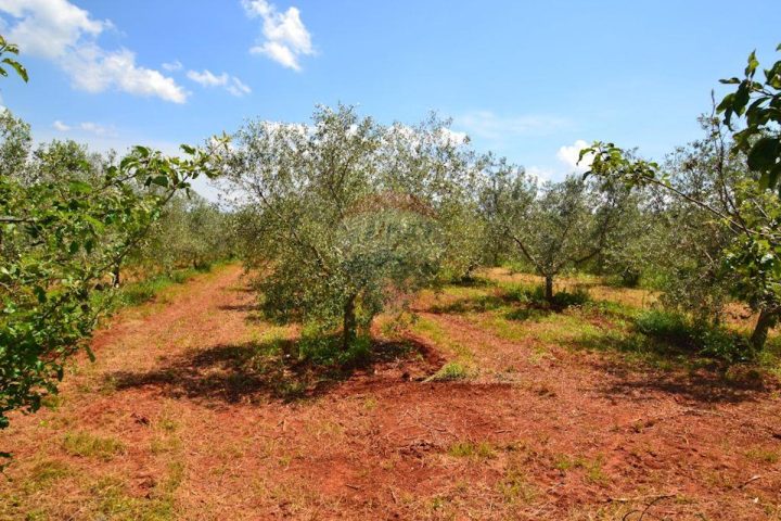 Terreno In vendita - Istarska Novigrad - foto 2/3