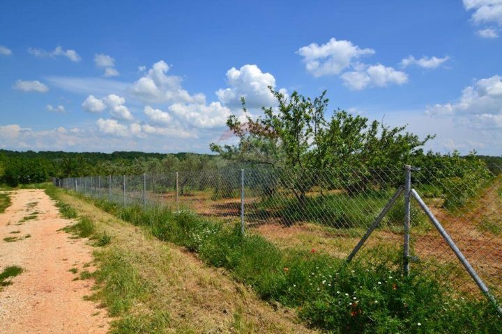 Parcela Naprodaj - Istarska Novigrad - foto 4/4