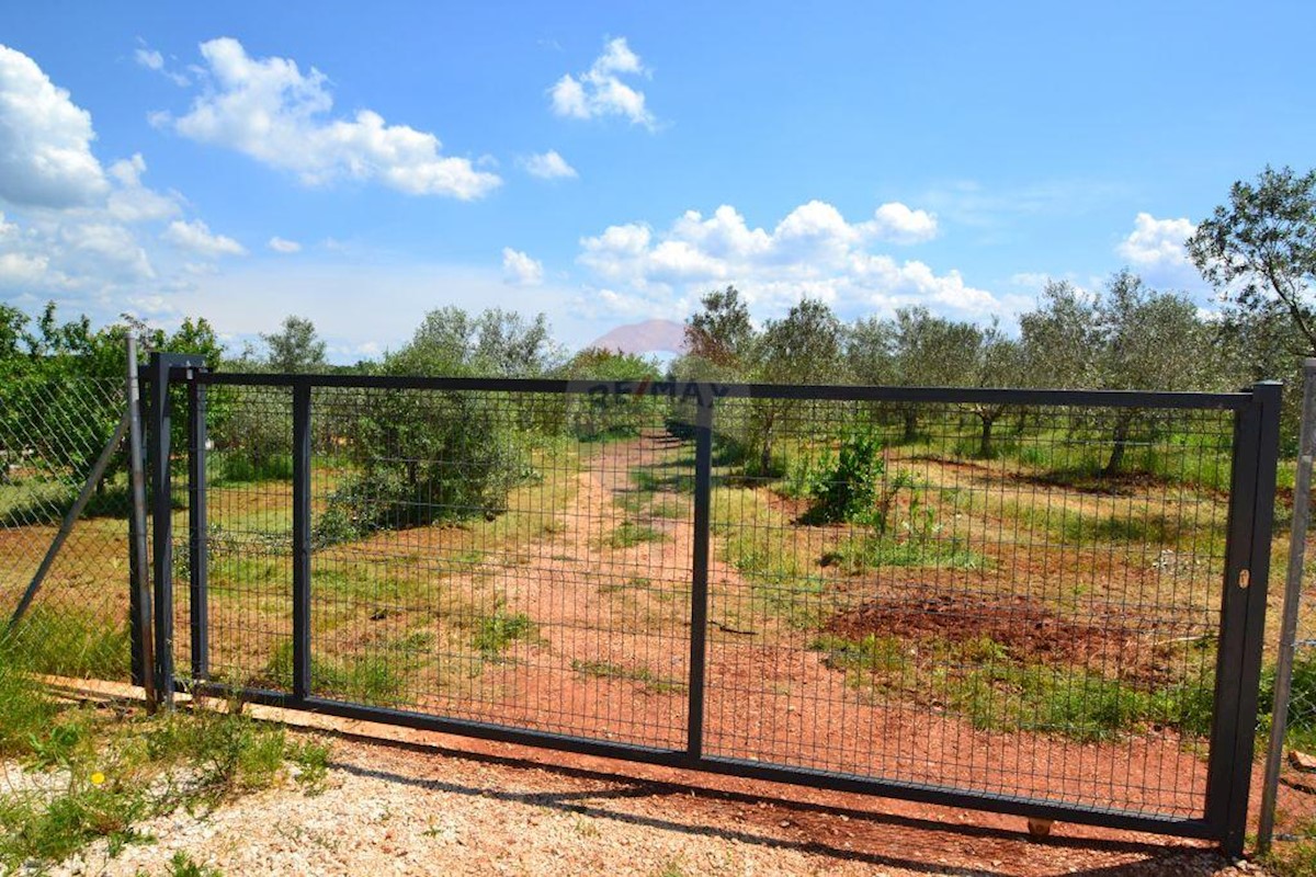 Terreno In vendita BUŽINIJA