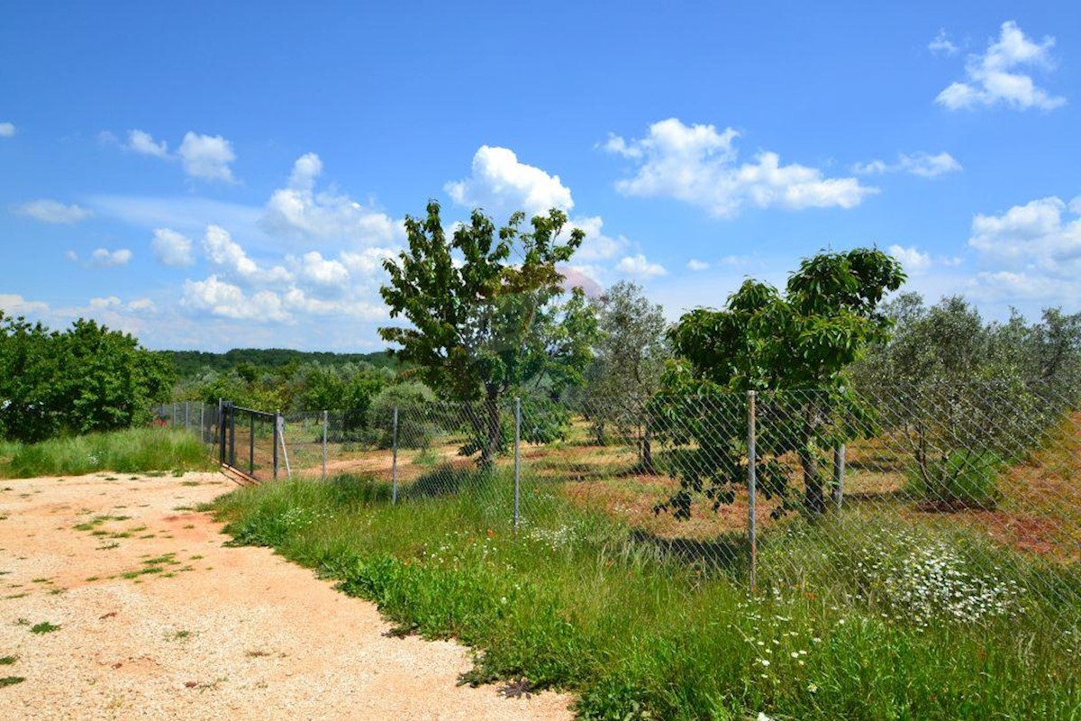 Terreno In vendita - ISTARSKA  NOVIGRAD 