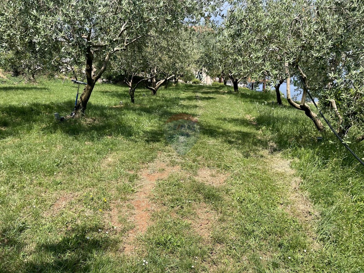 Land For sale - Primorsko-goranska Mošćenička Draga - foto 3/8