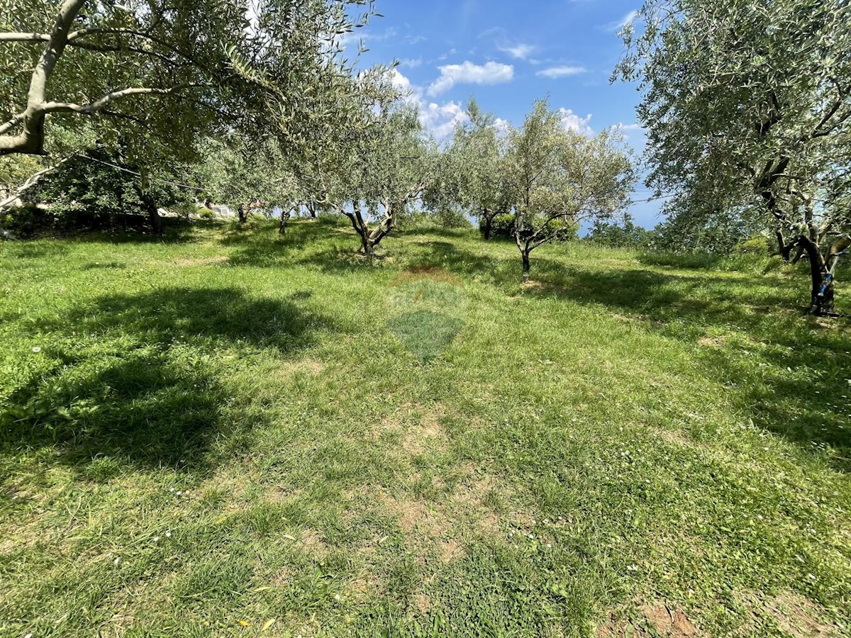 Land For sale - Primorsko-goranska Mošćenička Draga - foto 4/8
