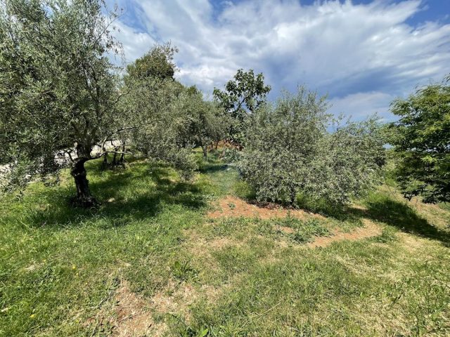 Land For sale KALAC