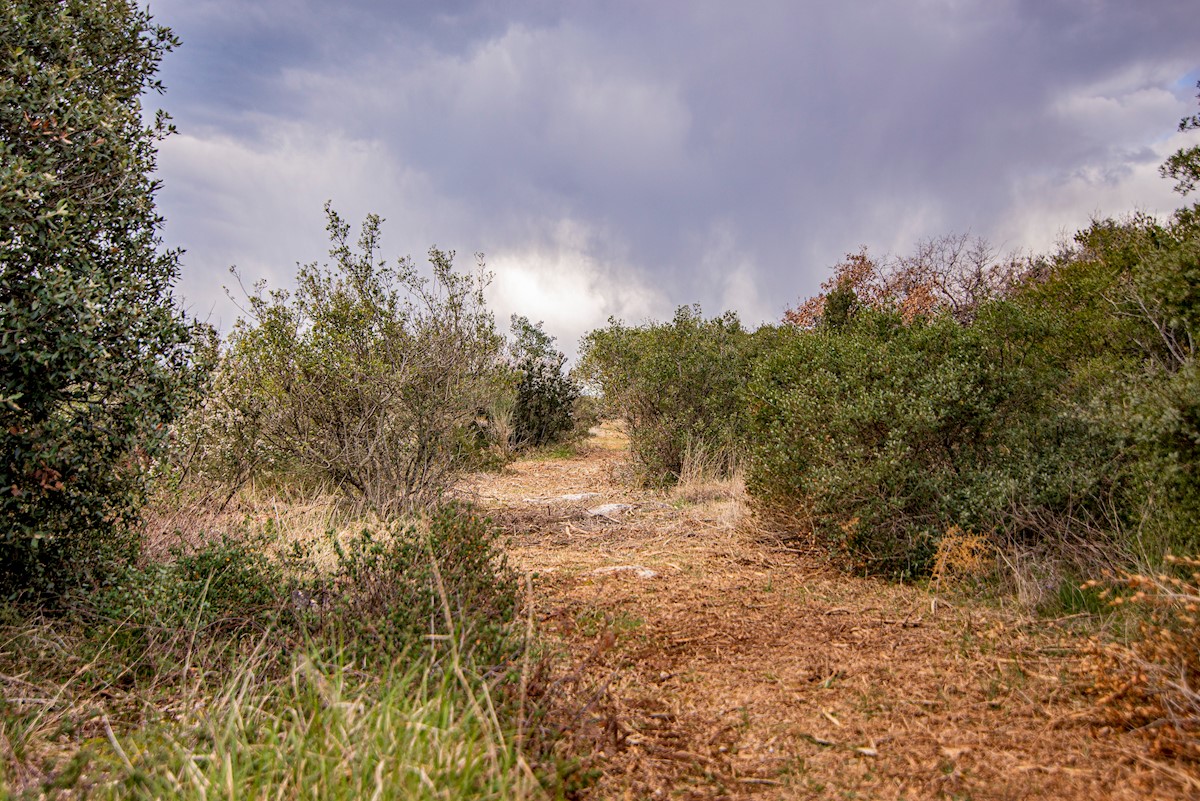 Land For sale - ISTARSKA  VODNJAN 