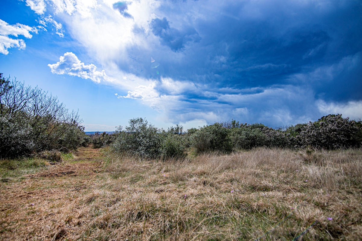 Land For sale - ISTARSKA  VODNJAN 