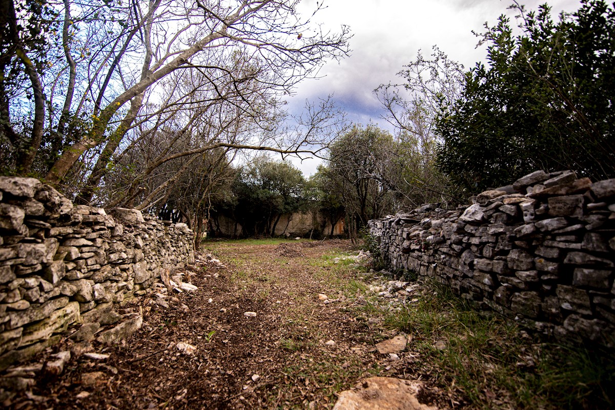 Land For sale - ISTARSKA  VODNJAN 