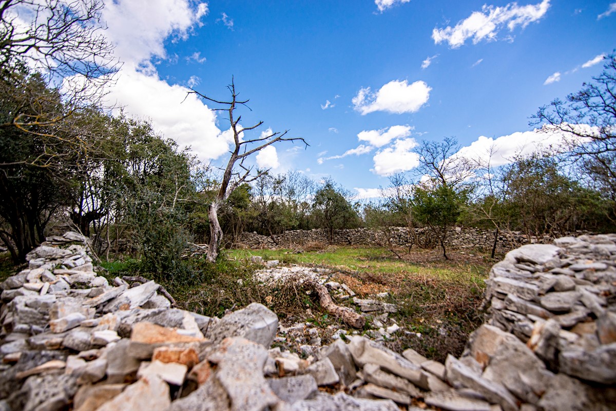 Land For sale - ISTARSKA  VODNJAN 