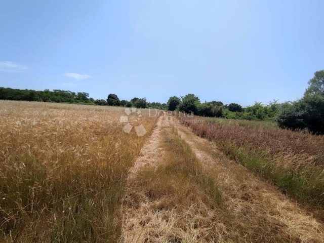 Grundstück zu verkaufen 4870 m² – Marčana