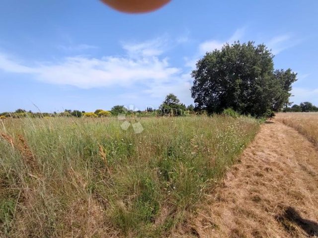 Grundstück Zu verkaufen - Istarska Marčana - foto 2/7