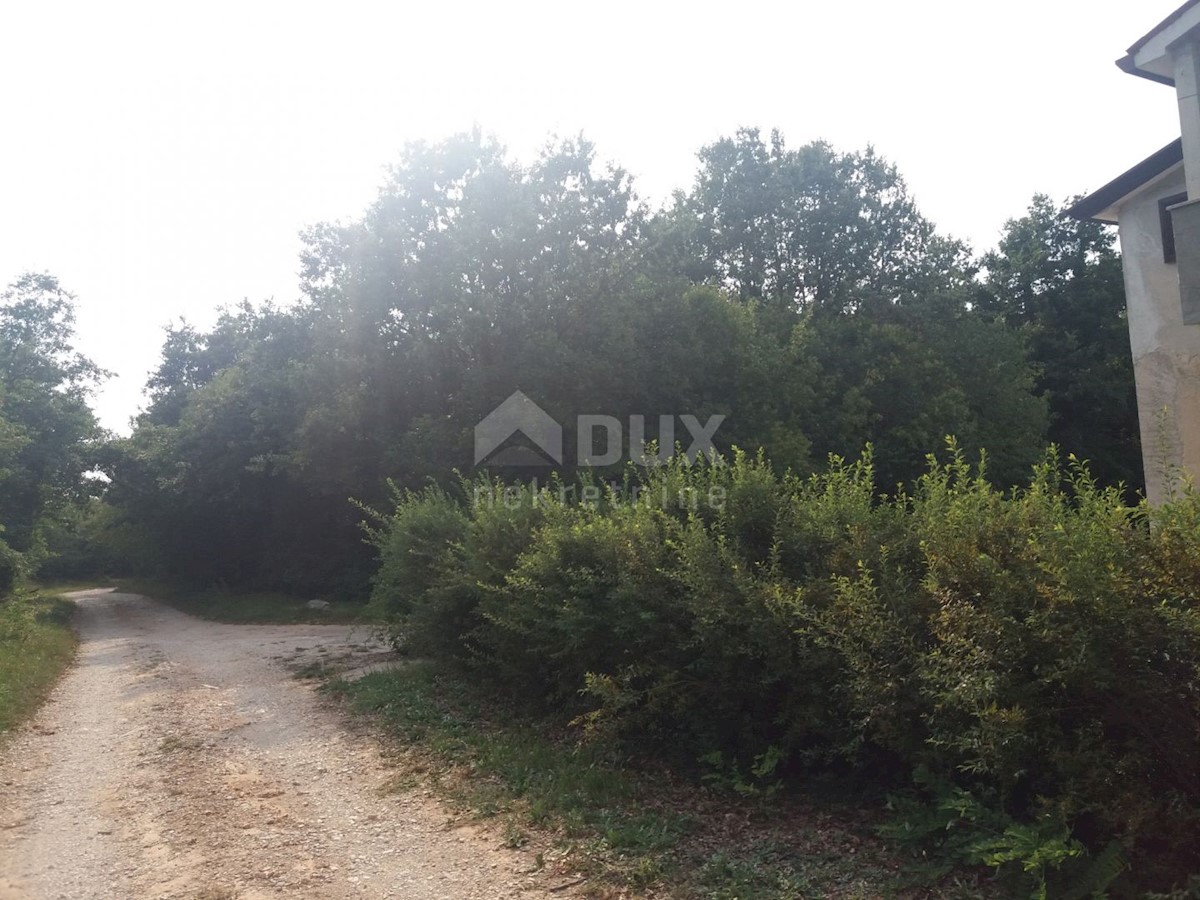 House For sale - ISTARSKA  UMAG 