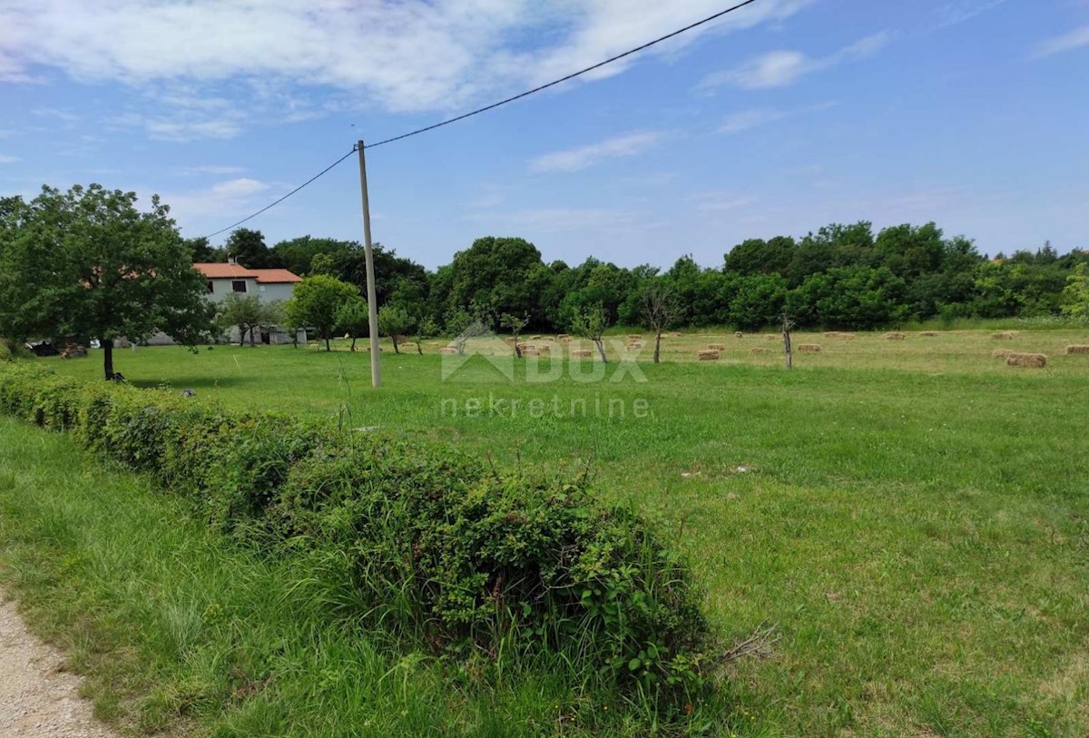 Maison À vendre - ISTARSKA  UMAG 