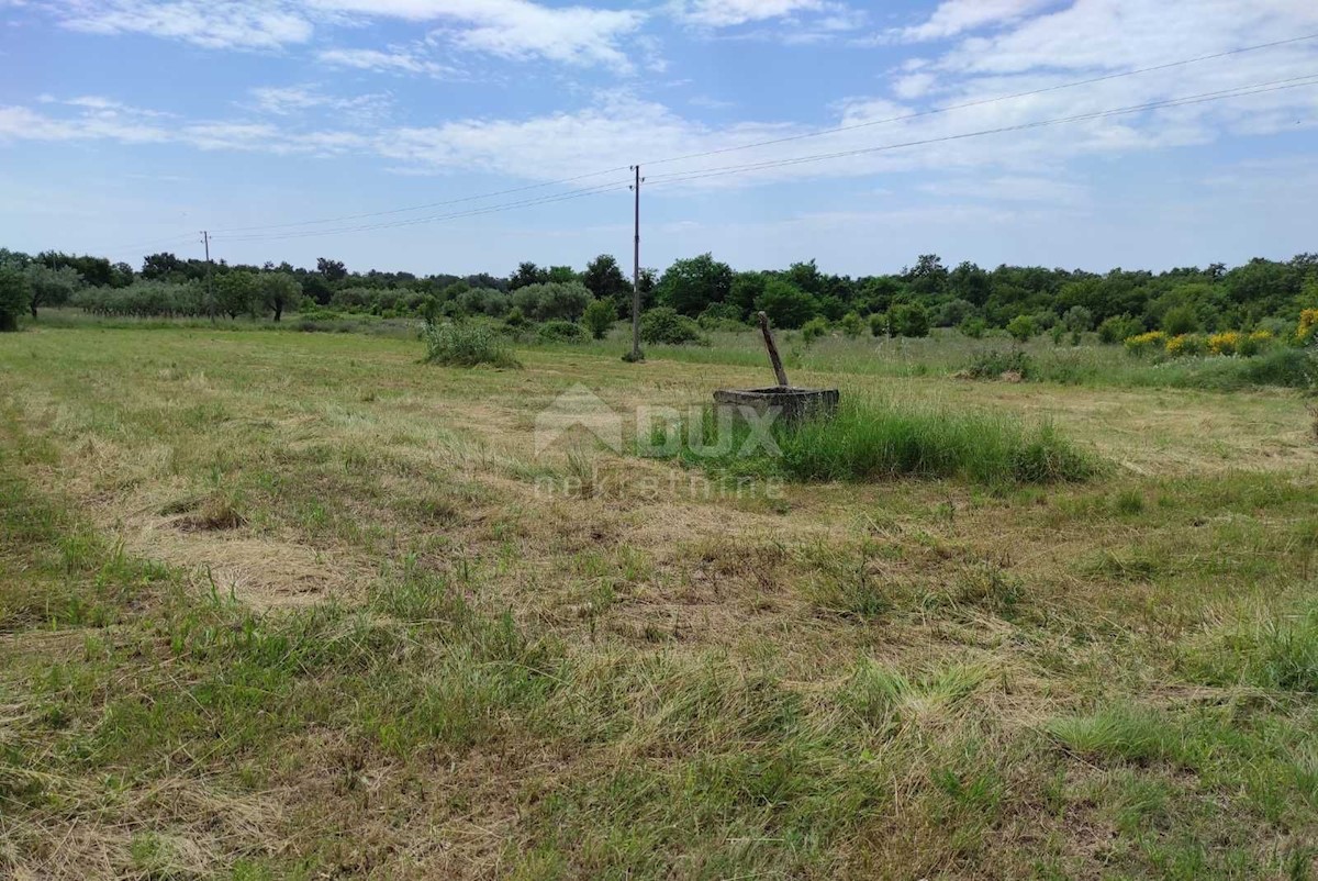 Land For sale - ISTARSKA  UMAG 