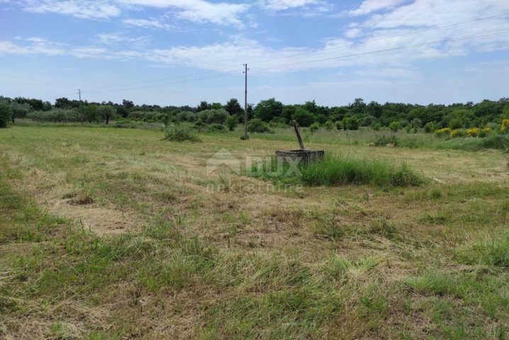 Pozemek Na prodej - Istarska Umag - foto 2/9