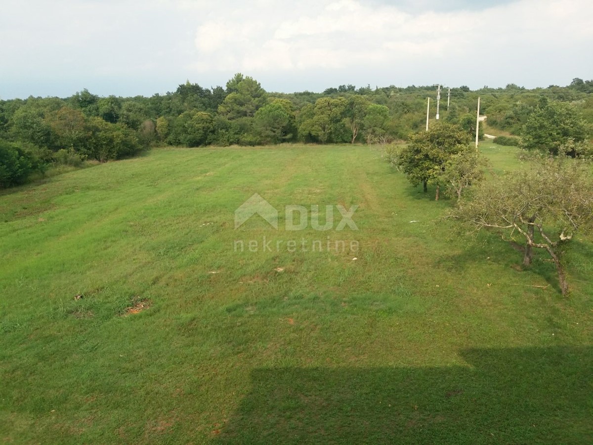 Land For sale - ISTARSKA  UMAG 