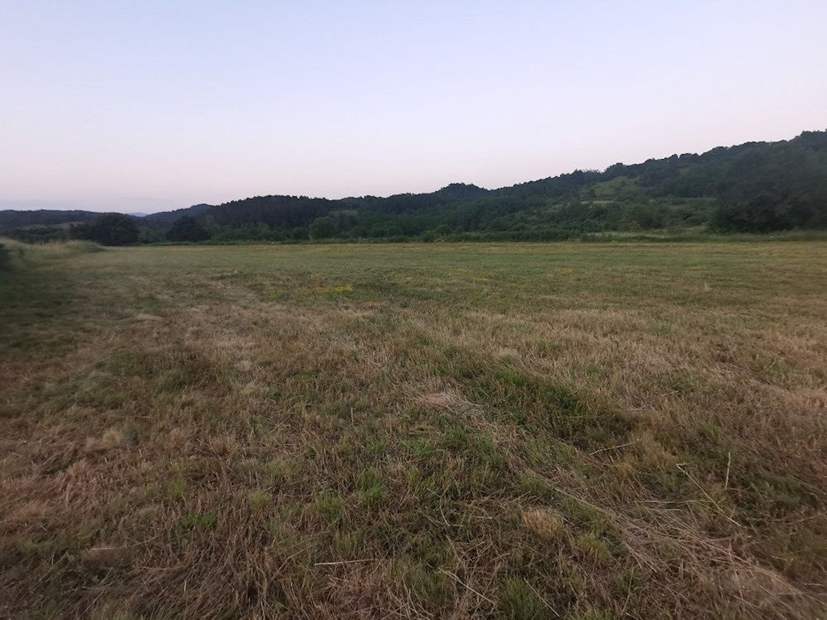 Land For sale - ISTARSKA  PAZIN 