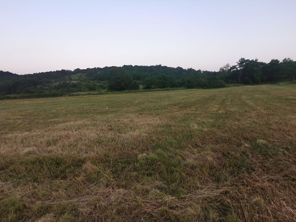 Land For sale - ISTARSKA  PAZIN 