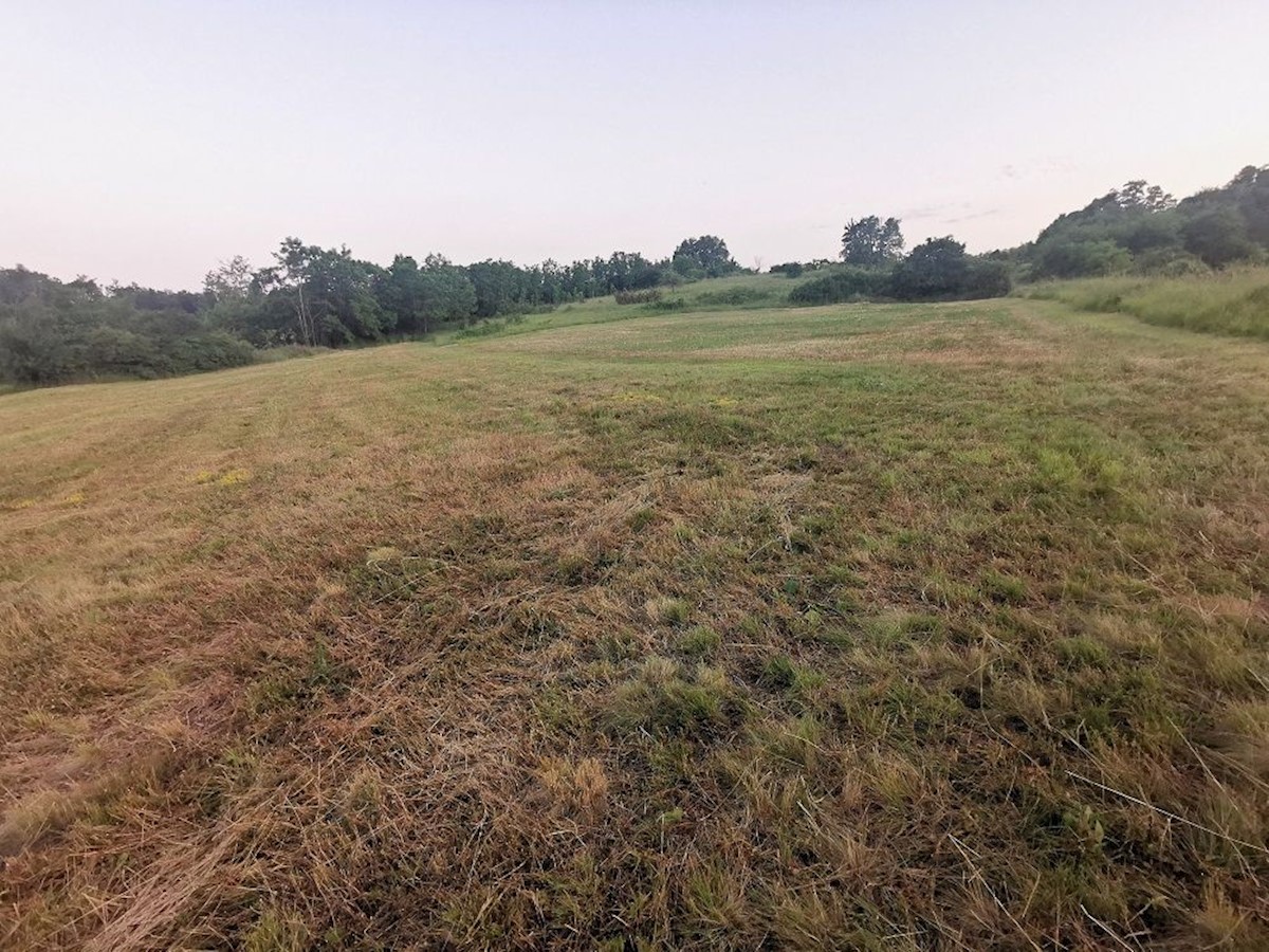 Land For sale - ISTARSKA  PAZIN 