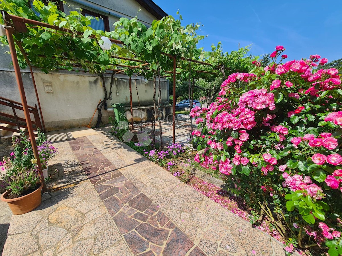 House For sale - ISTARSKA  PAZIN 