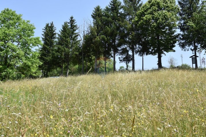 Land for sale 3019 m² – Dokmanovići