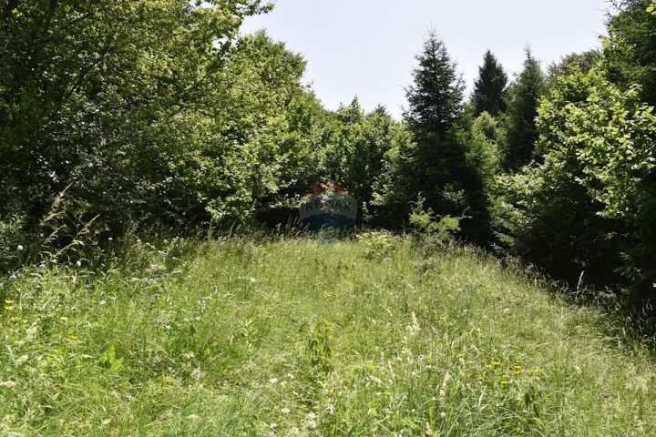 Land for sale 17590 m² – Vučinići
