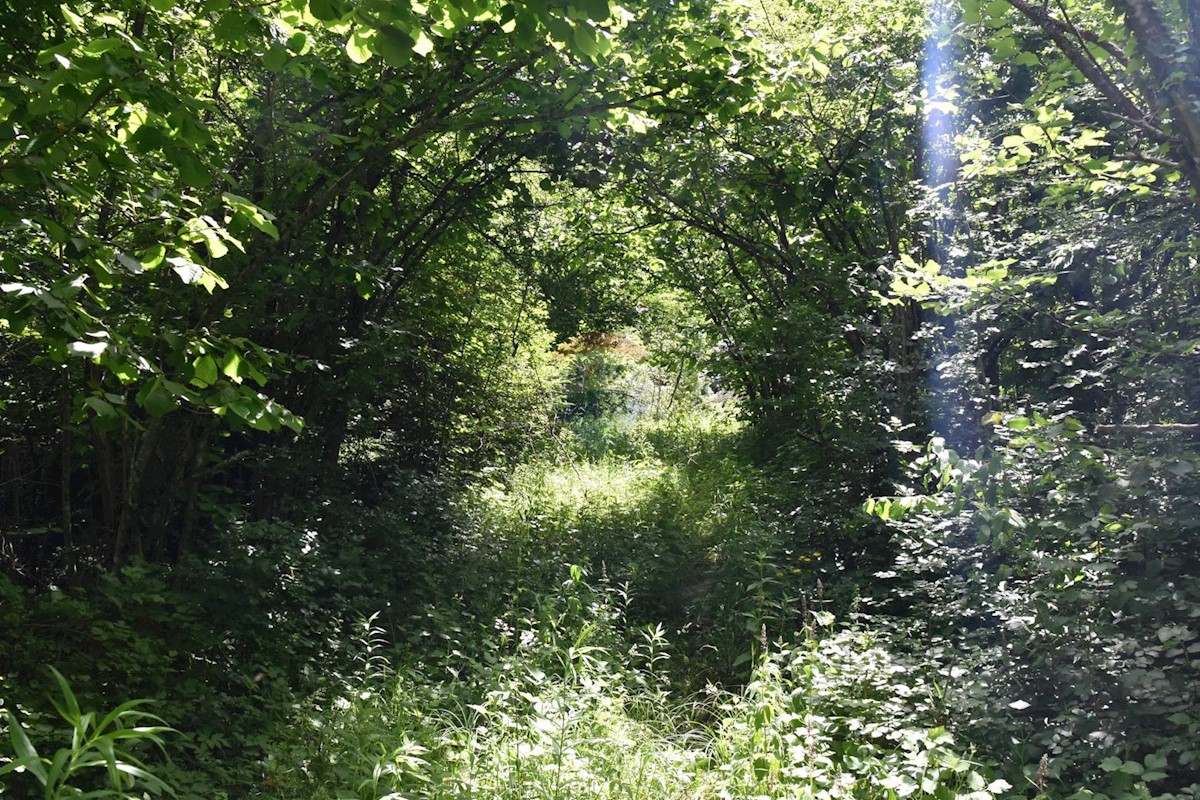 Zemljište Na prodaju - PRIMORSKO-GORANSKA  VRBOVSKO 
