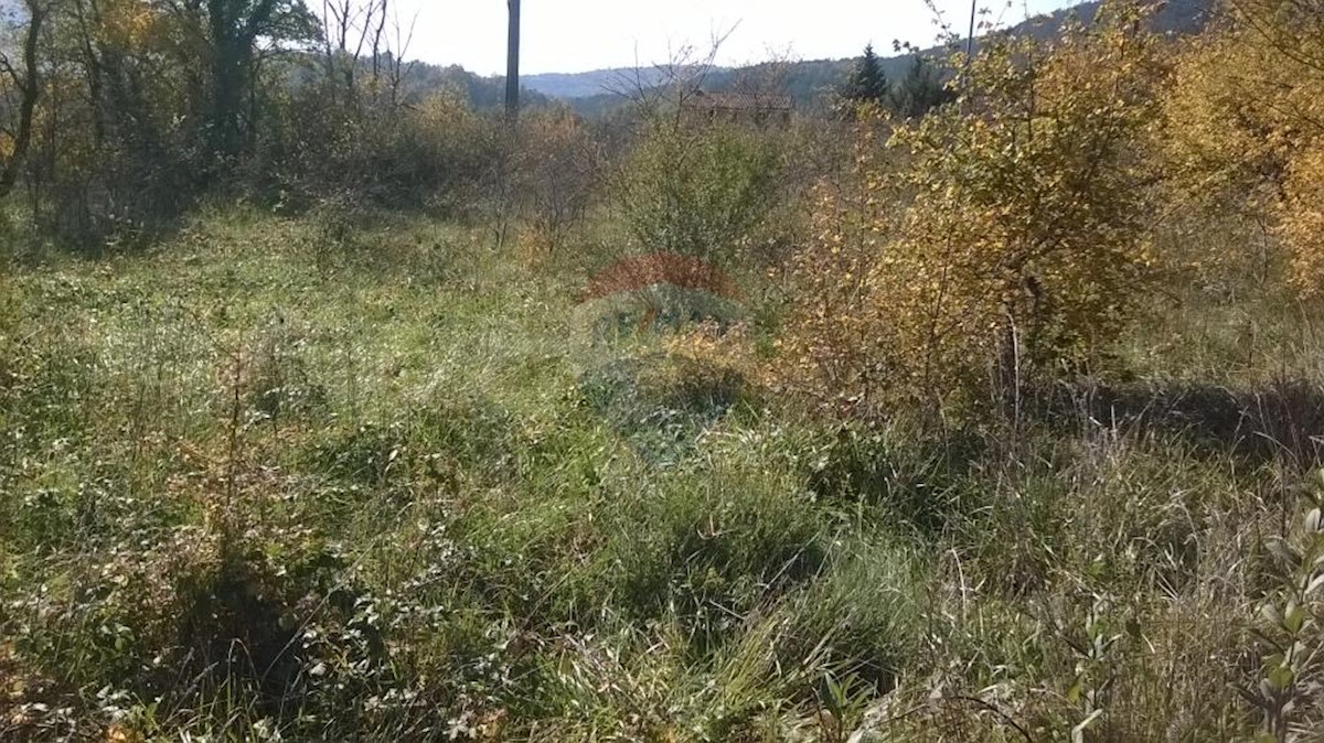 Land For sale - ISTARSKA  BUZET 