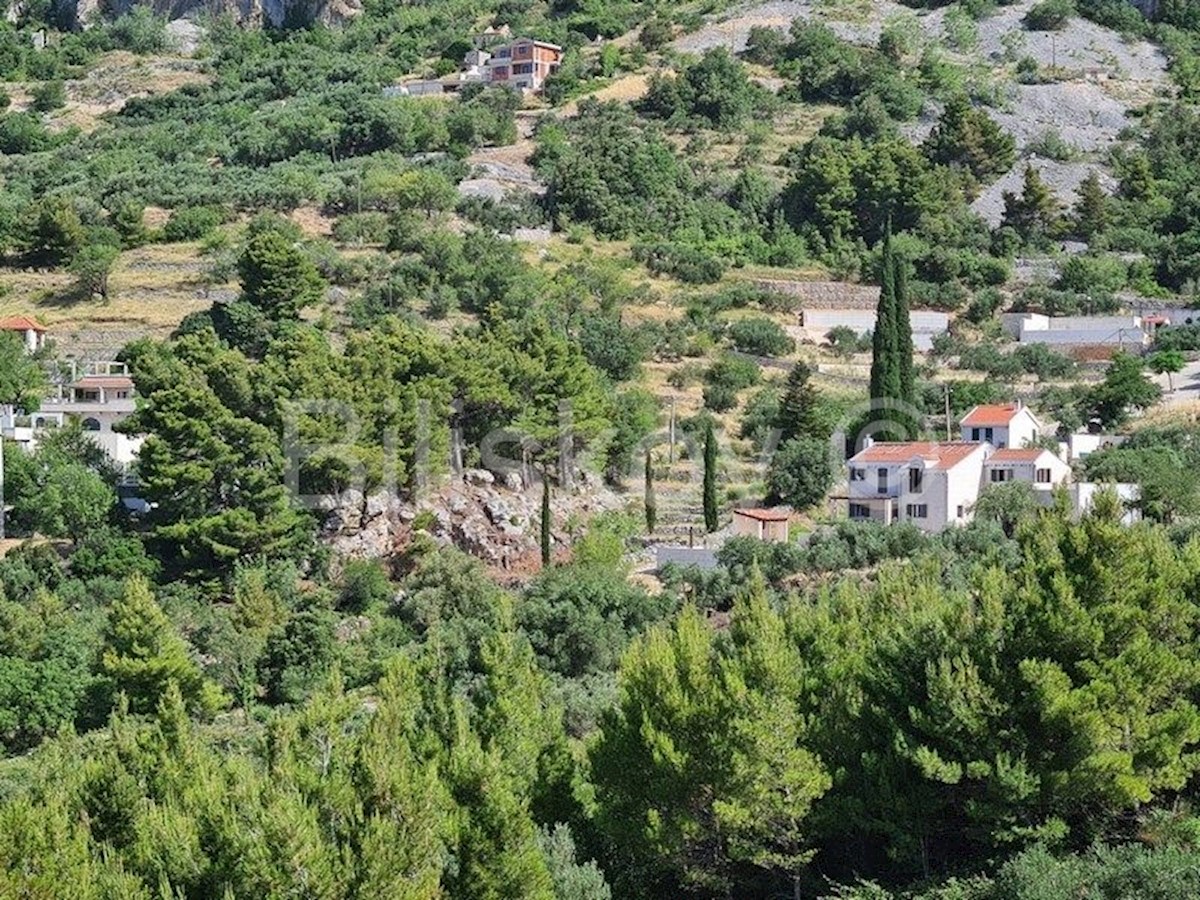 Land For sale - SPLITSKO-DALMATINSKA  MAKARSKA 