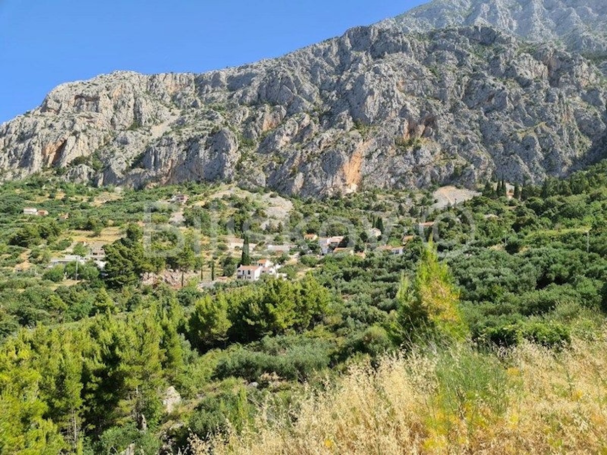 Land For sale - SPLITSKO-DALMATINSKA  MAKARSKA 