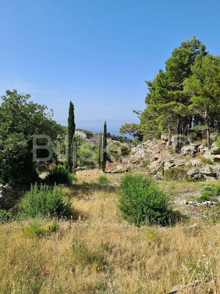 Land For sale - SPLITSKO-DALMATINSKA  MAKARSKA 