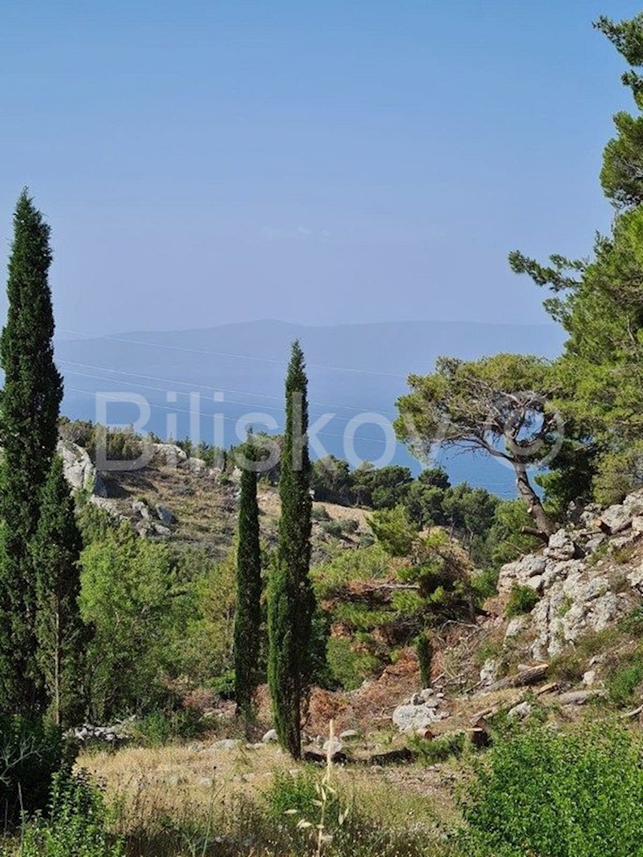 Land For sale - SPLITSKO-DALMATINSKA  MAKARSKA 