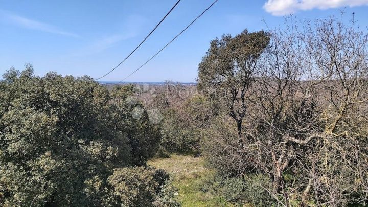 Land For sale - Istarska Rovinj - foto 4/17