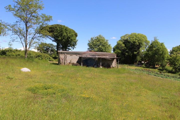 Grundstück zu verkaufen 1550 m² – Kaštelir