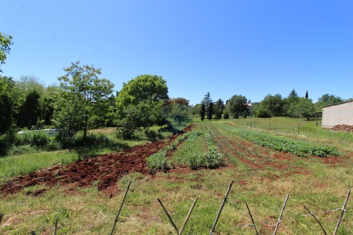 Parcela Naprodaj - Istarska Kaštelir - foto 3/15