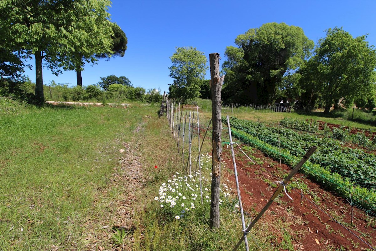 Terrain À vendre - ISTARSKA  KAŠTELIR 