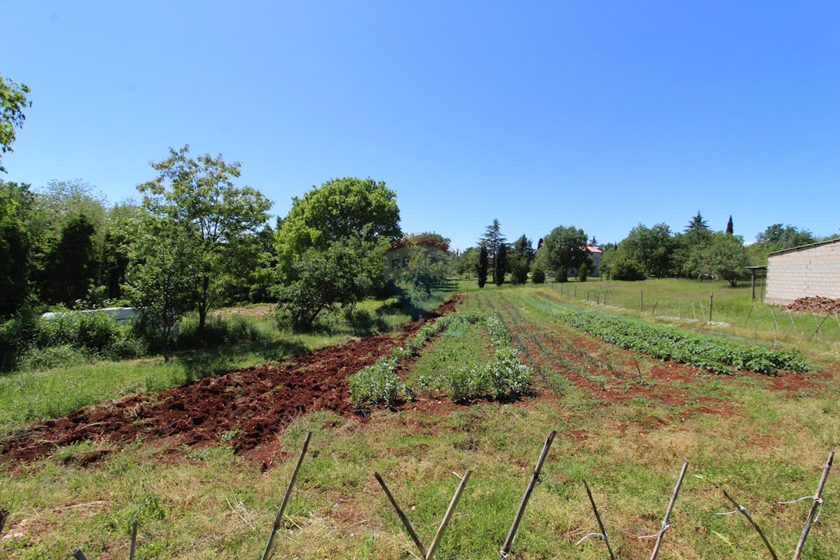 Terrain À vendre - ISTARSKA  KAŠTELIR 