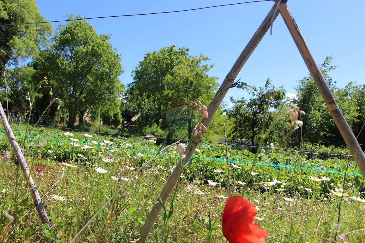 Pozemek Na prodej - ISTARSKA  KAŠTELIR 