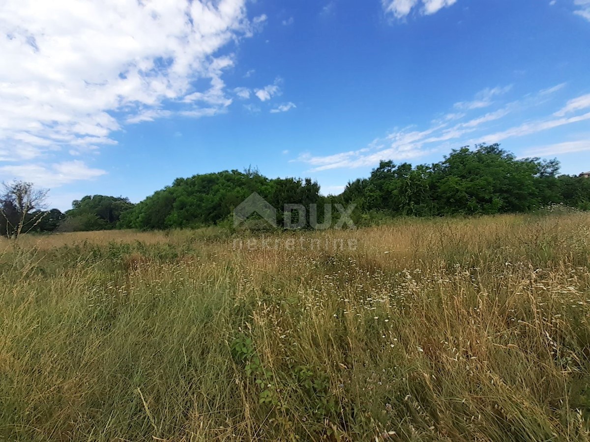 Land For sale - ISTARSKA  UMAG 