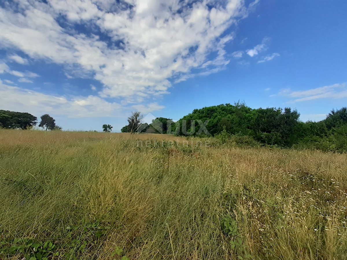 Land For sale - ISTARSKA  UMAG 