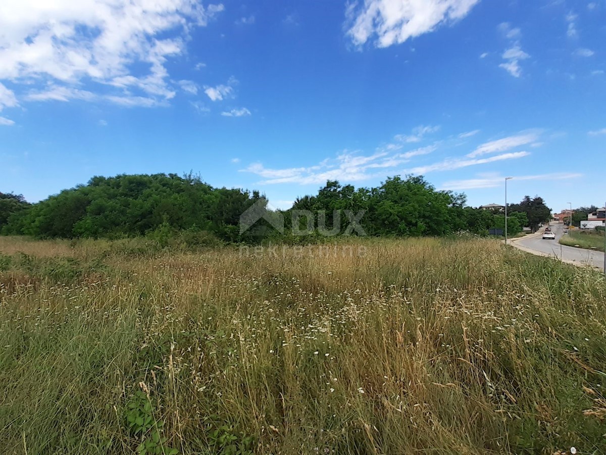 Land For sale - ISTARSKA  UMAG 