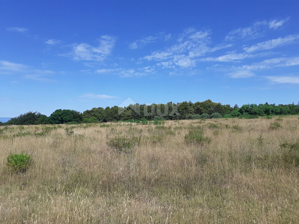 Land For sale - ISTARSKA  UMAG 